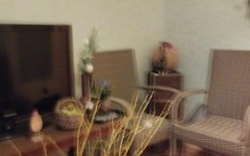 Apartament Zielona